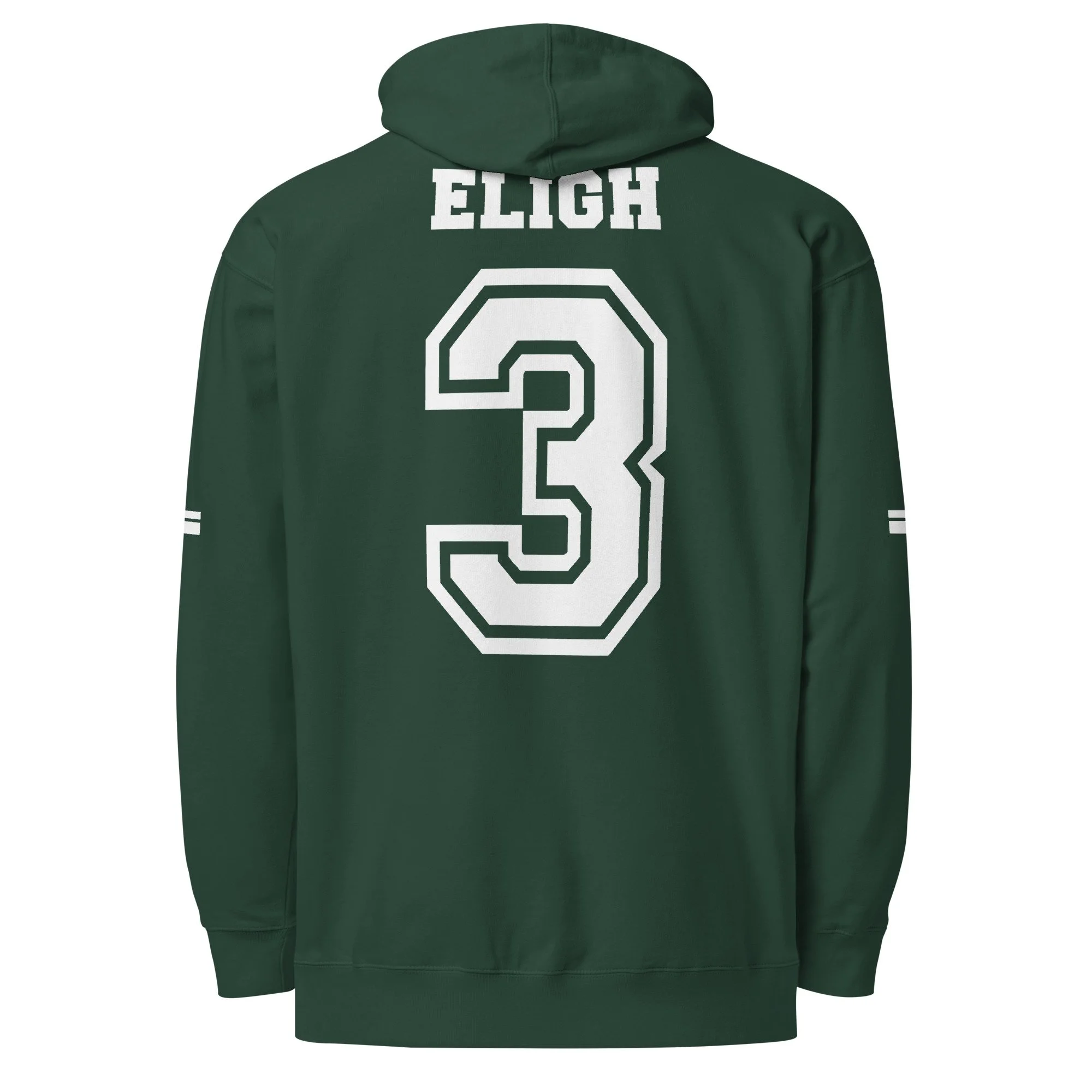 unisex-midweight-hoodie-alpine-green-back-69c53655b85d3.jpg