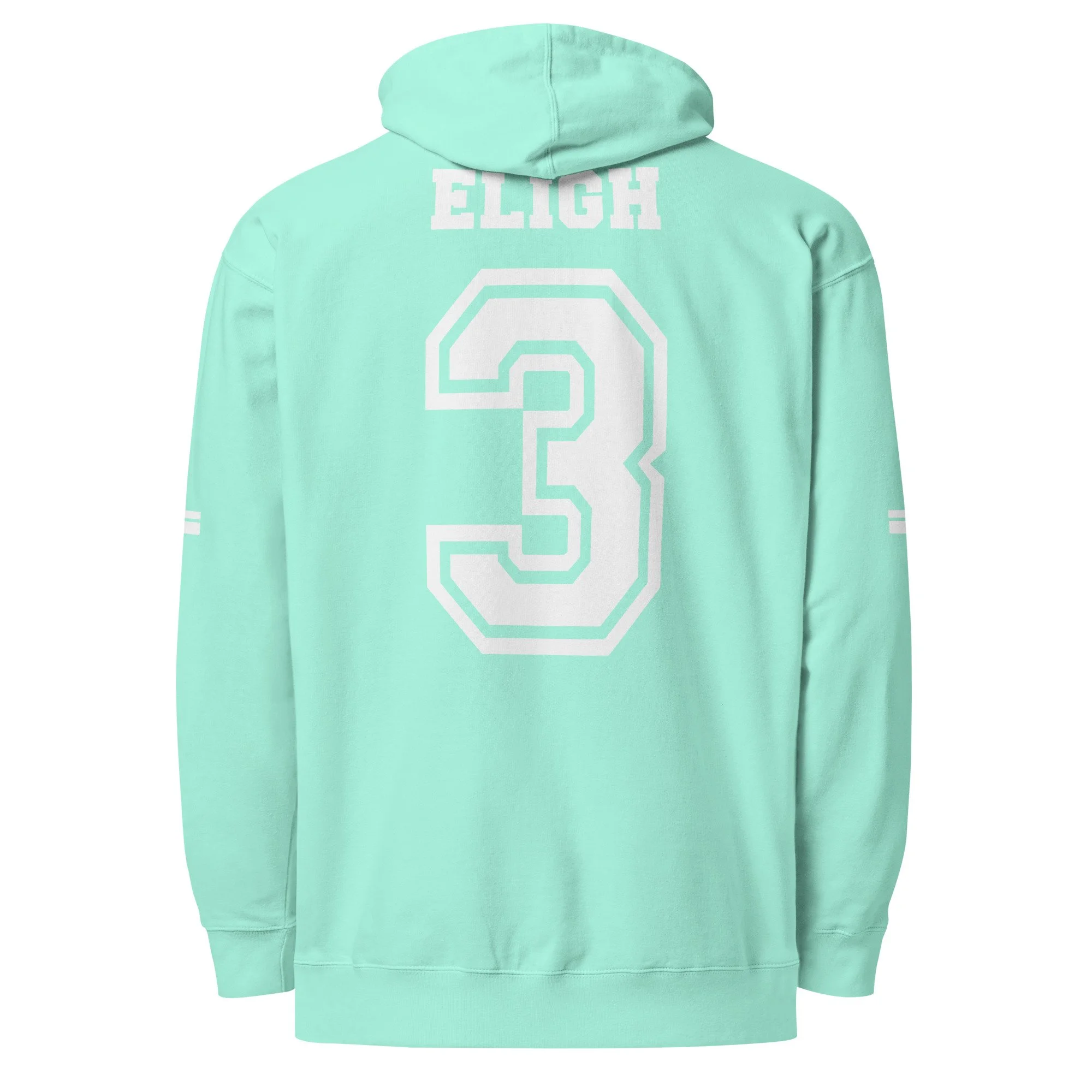 unisex-midweight-hoodie-mint-back-69c53655b8974.jpg