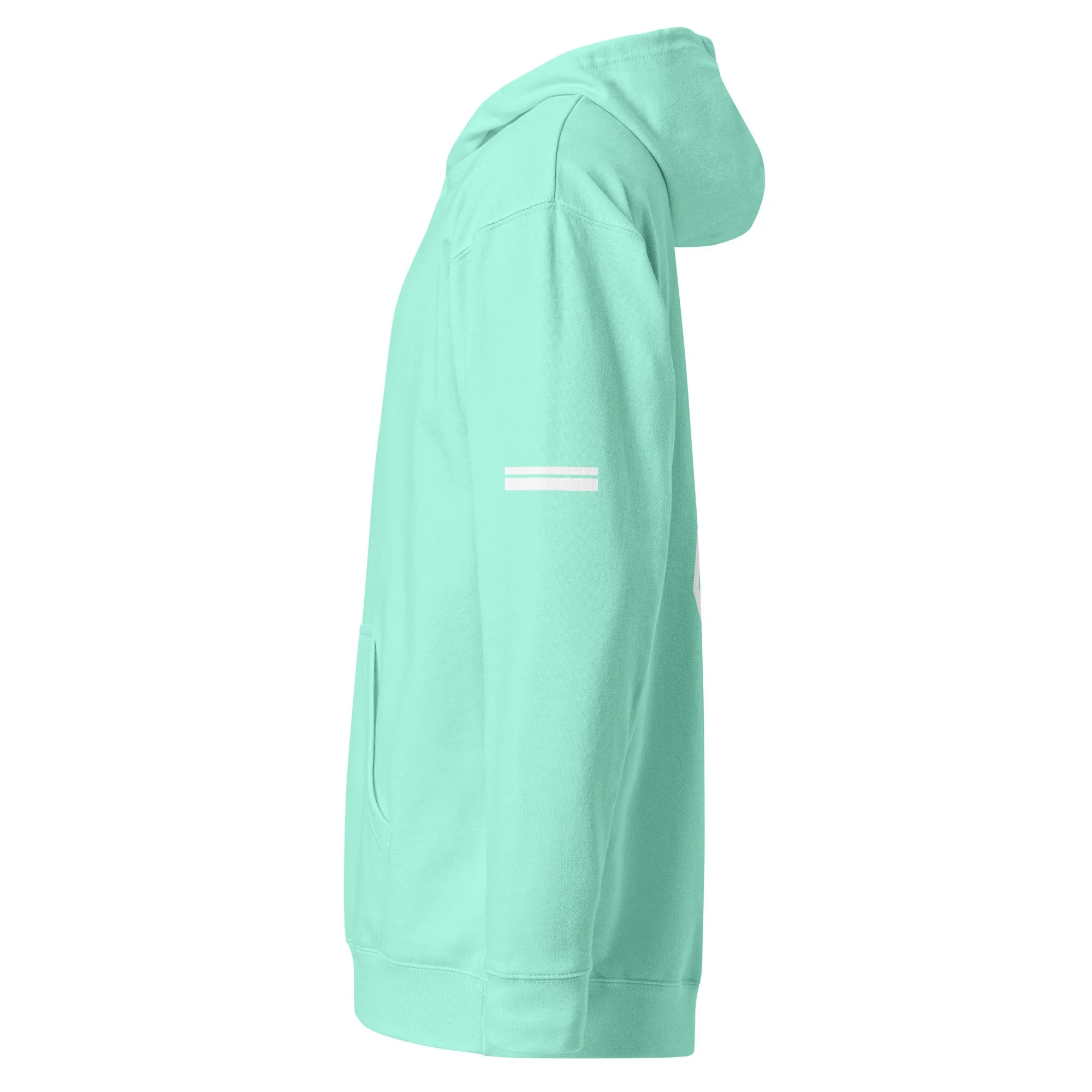 unisex-midweight-hoodie-mint-left-69c53655b9859.jpg