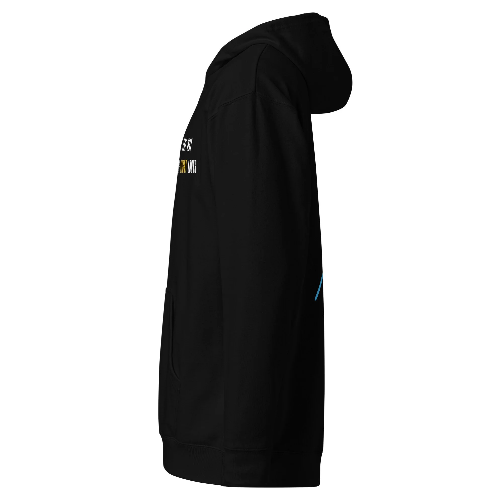 unisex-midweight-hoodie-black-left-69f3ab35dcde1.jpg