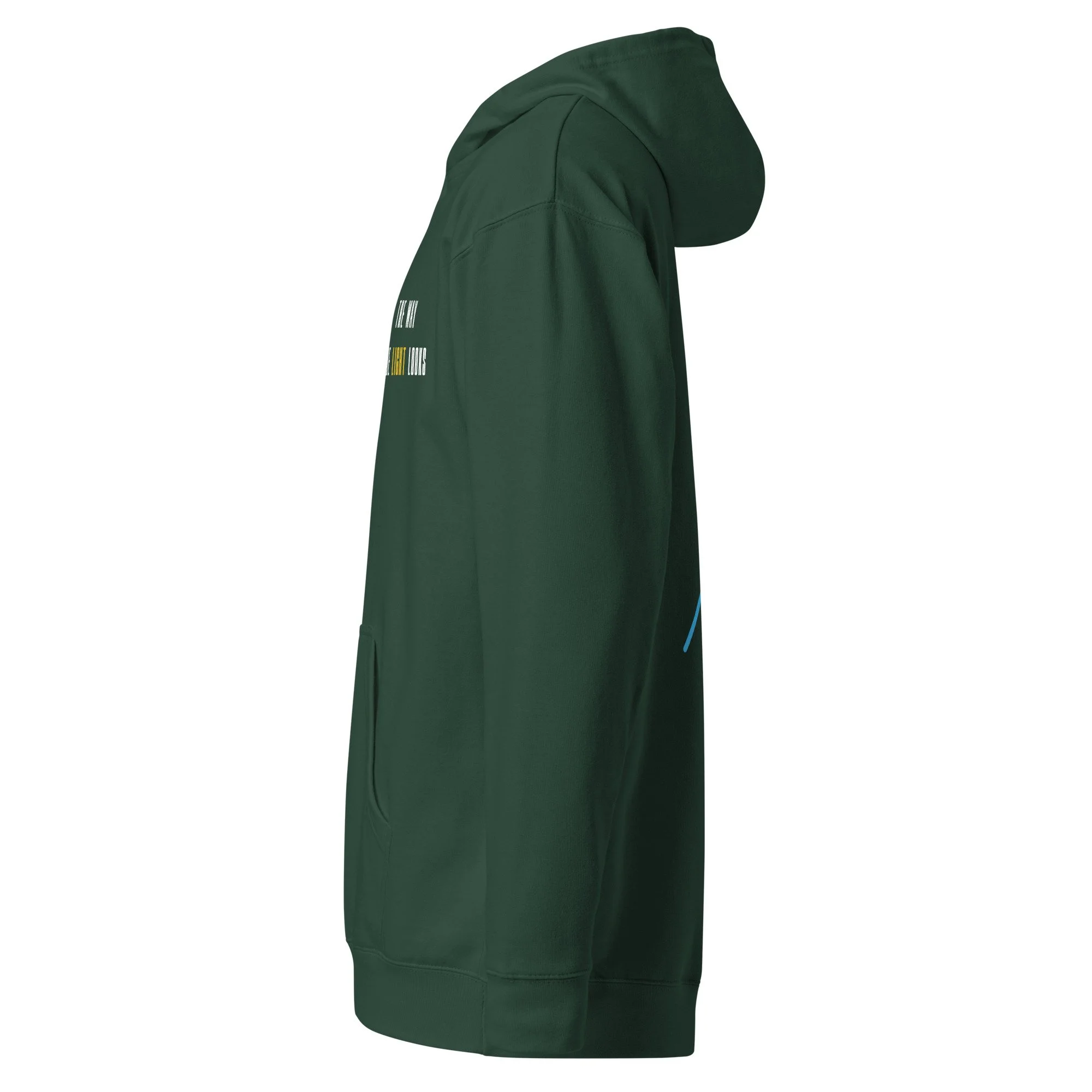 unisex-midweight-hoodie-alpine-green-left-69f3ab35dcd32.jpg