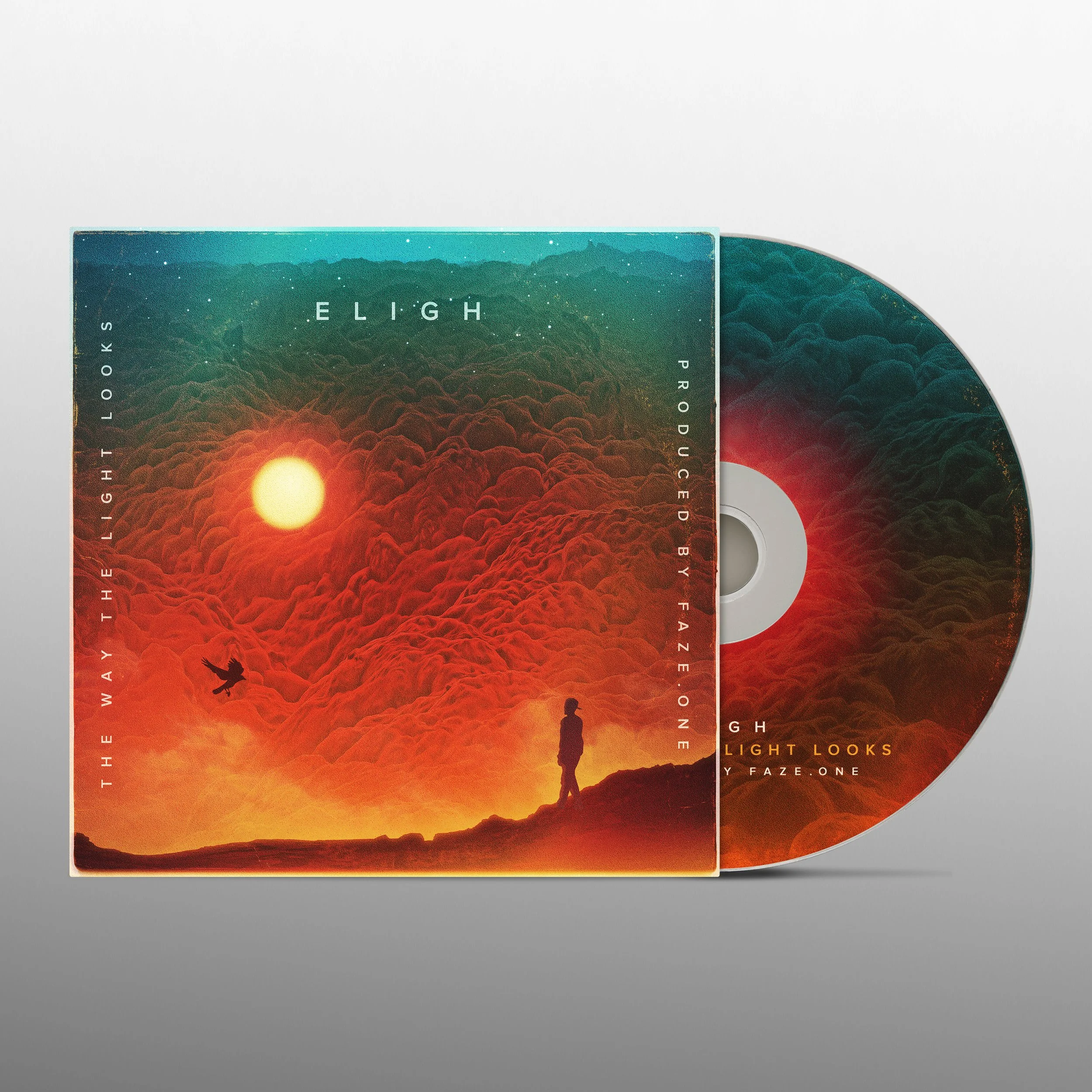 The Way The Light Looks CD