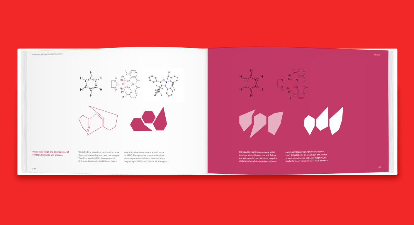 As a carbon neutral airline, I was inspired by the form of carbon molecular structures.