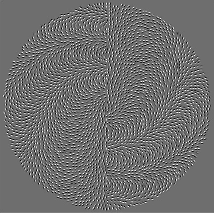 Get close to the monitor and move your eyes across the image.