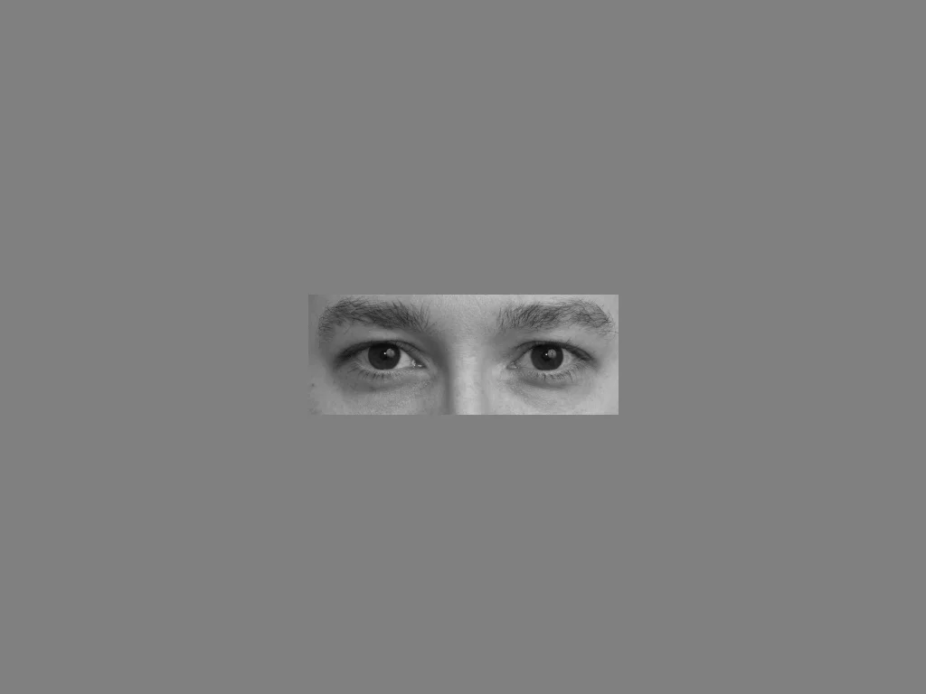 Interested_1.jpg