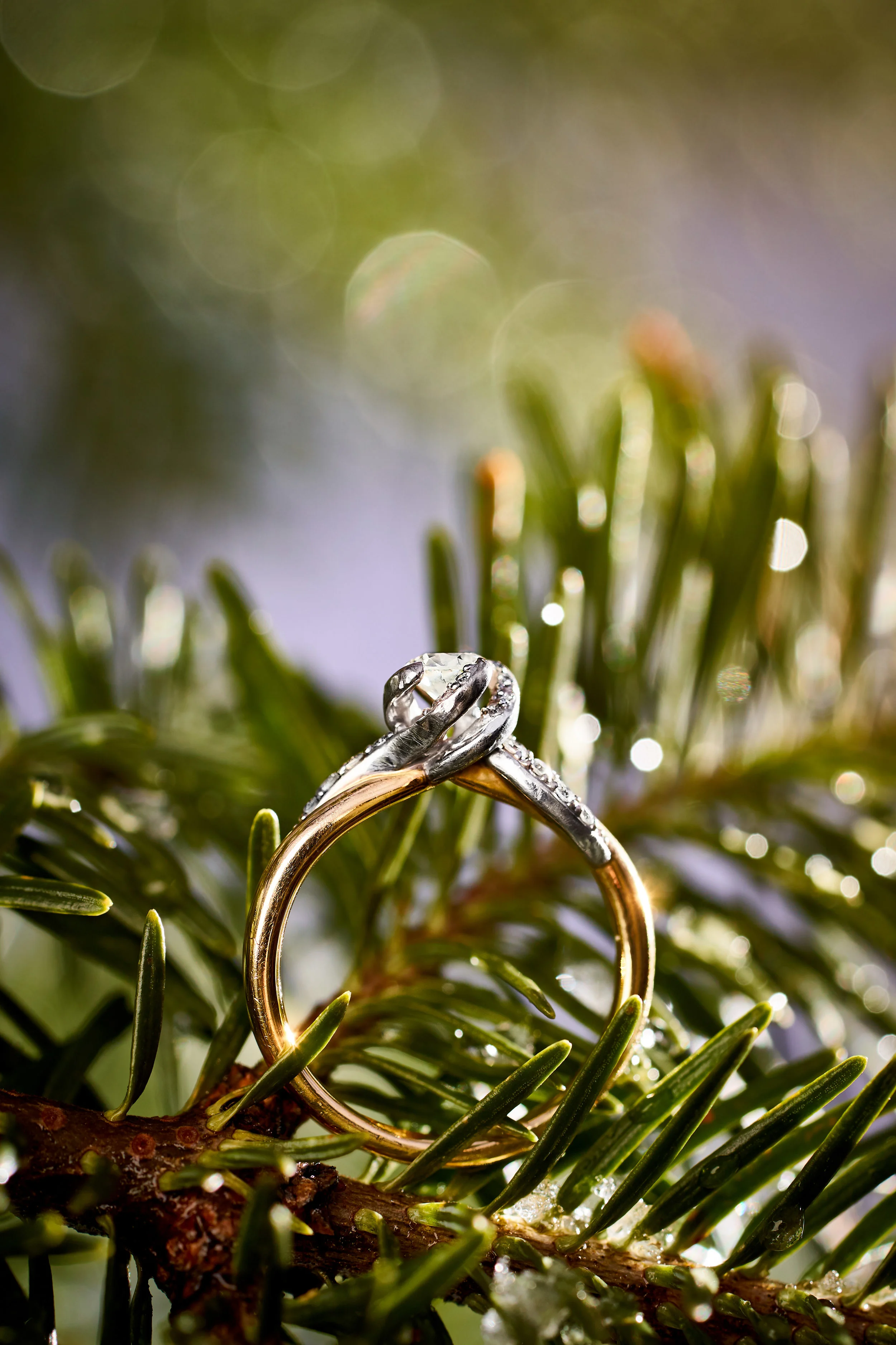 Véronique & Yannick Engagement - 102.jpg