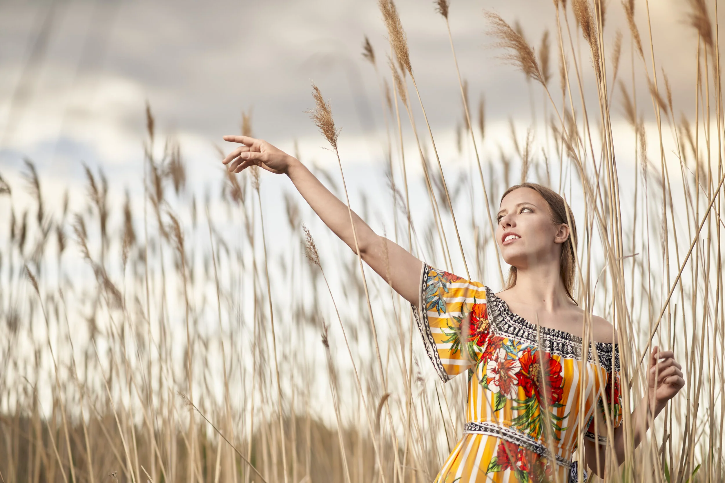 LAOFAS Softbox Review