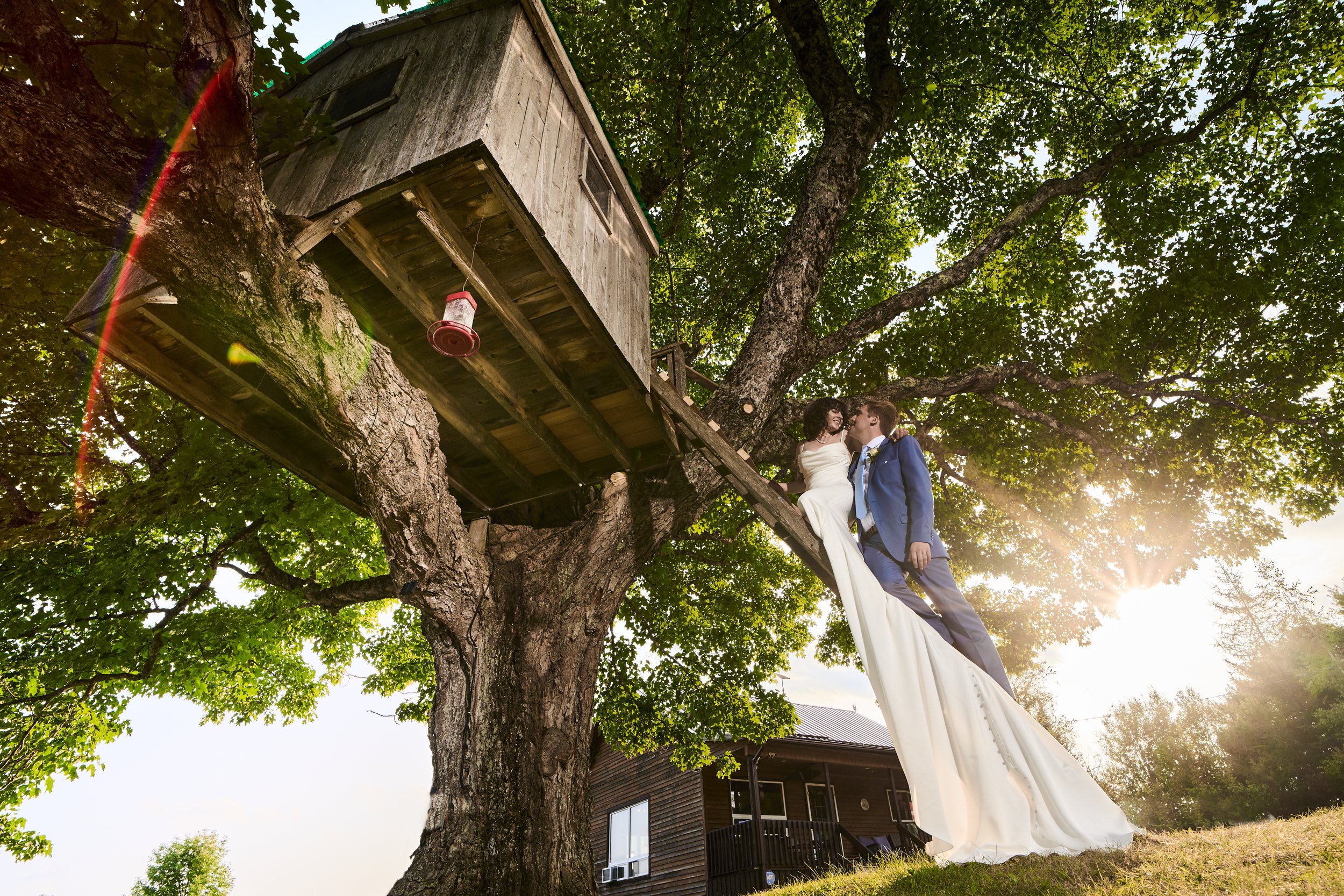 A newlywed couple sits on a tree branch near a treehouse. The bride is in a white wedding dress and the groom in a blue suit. The photo is taken during sunset with sunlight streaming through the trees.