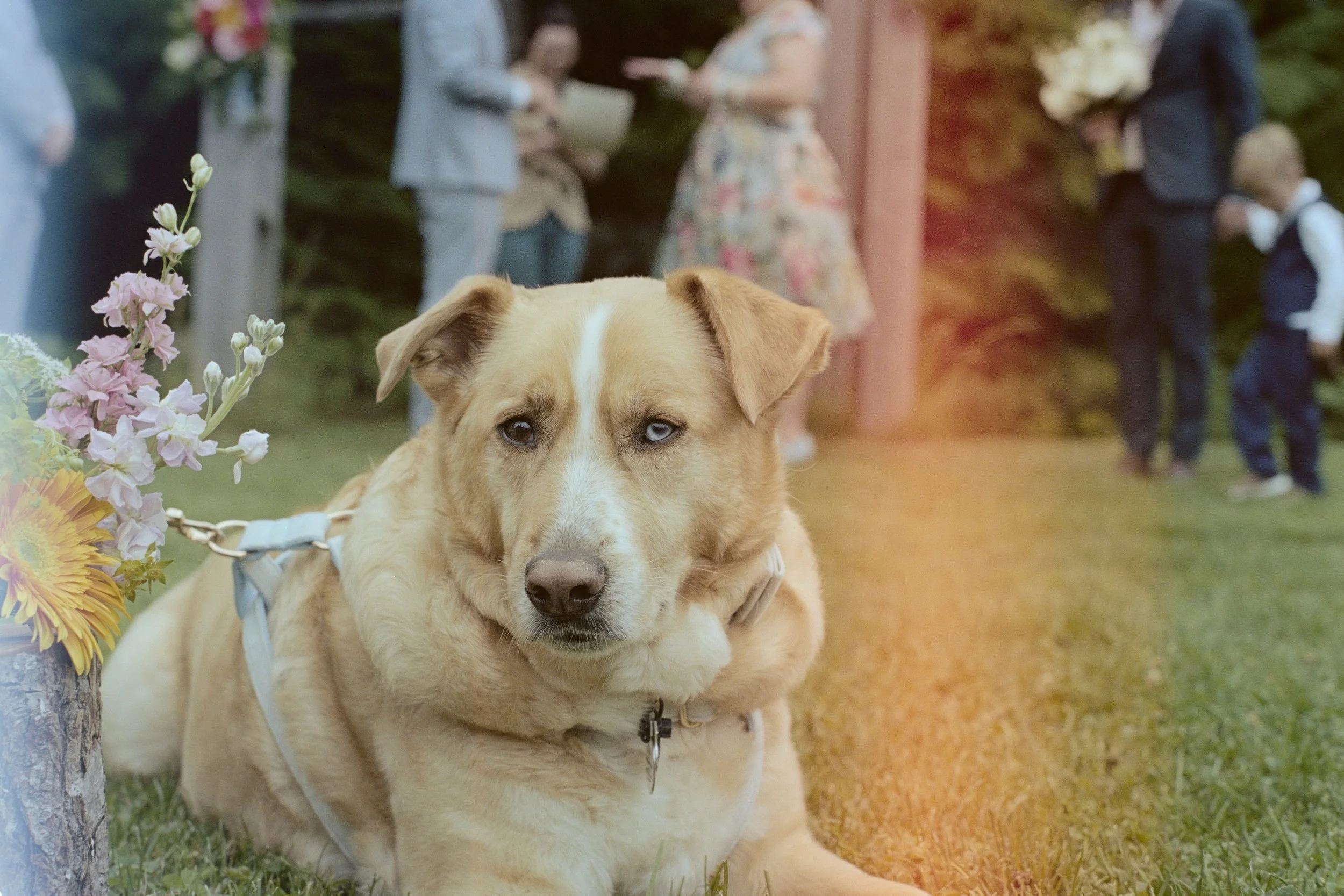 Jordi & Jonathan on Film - 013.jpg