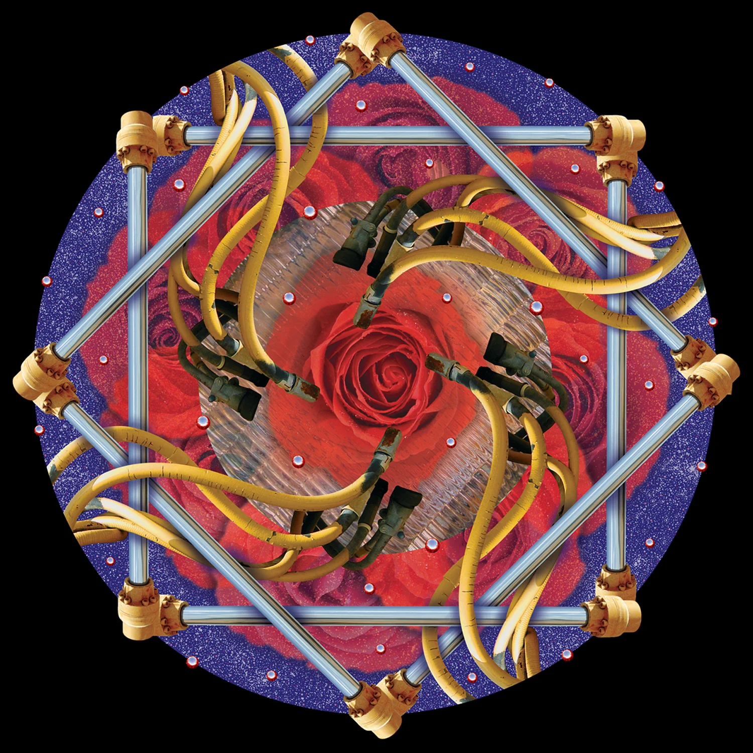 Realm