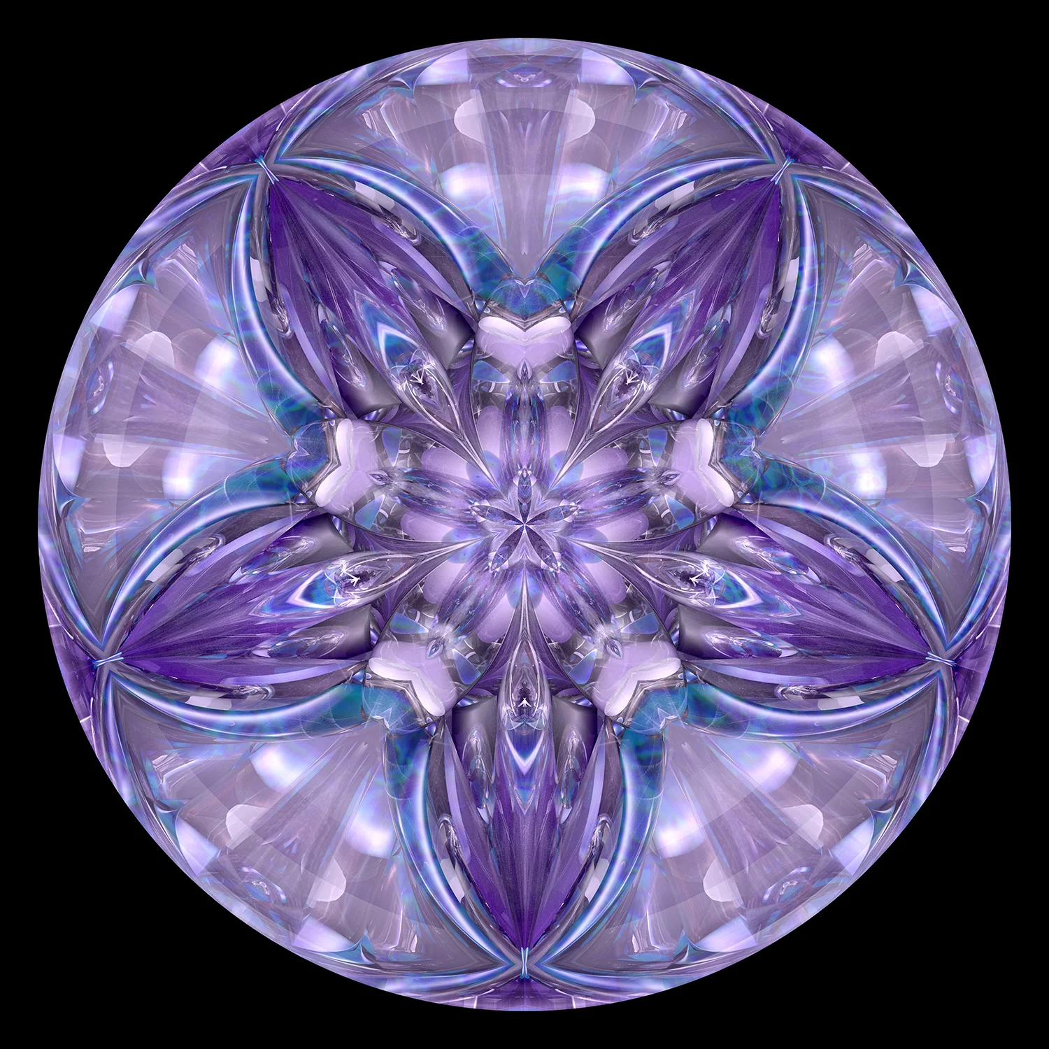 Lyra D