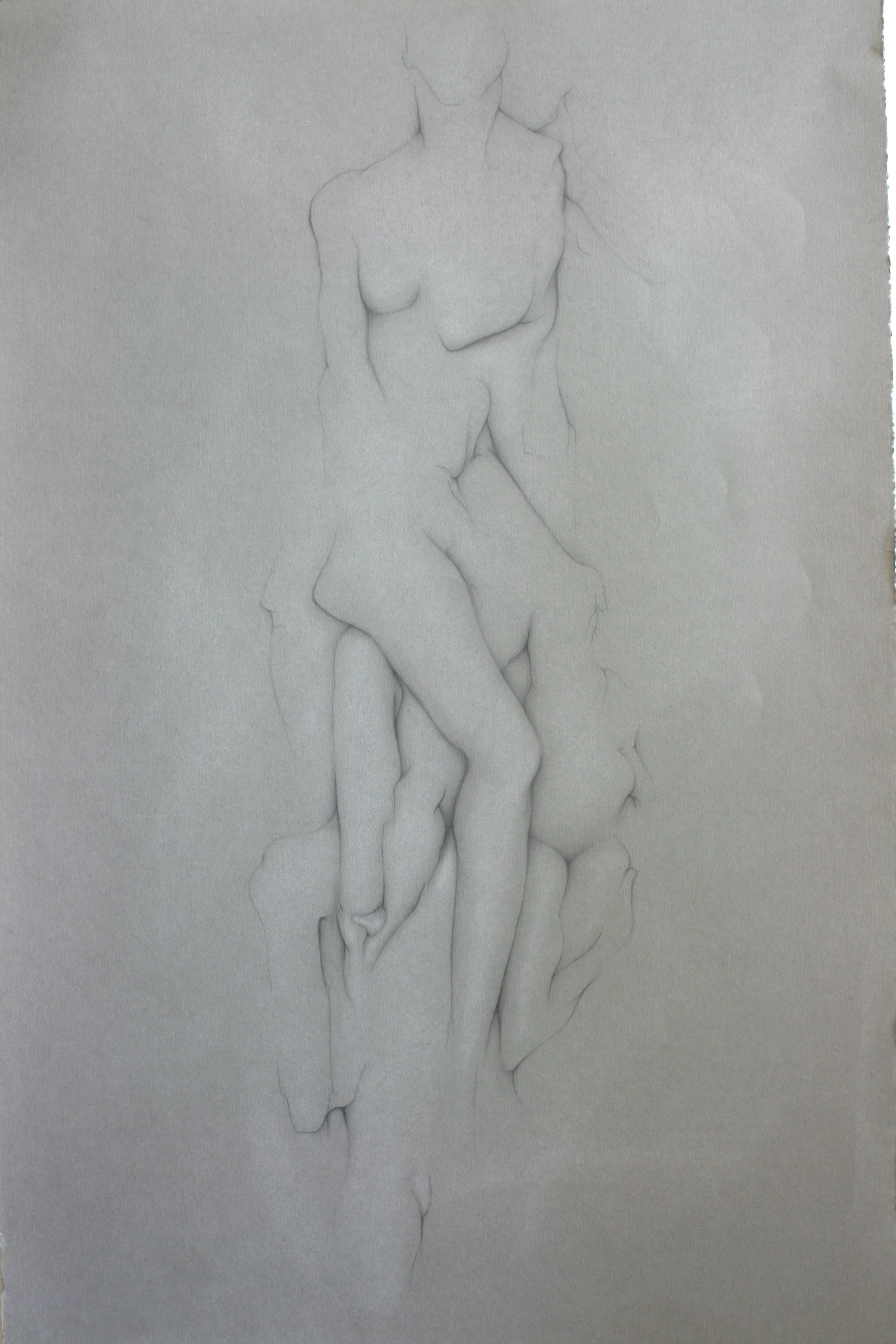  Charcoal and Chalk on Toned Paper, 40"x 26.25" 