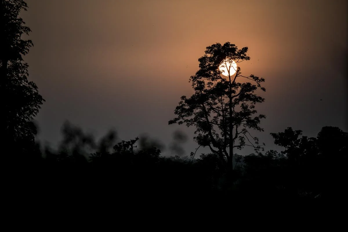 Chitwan