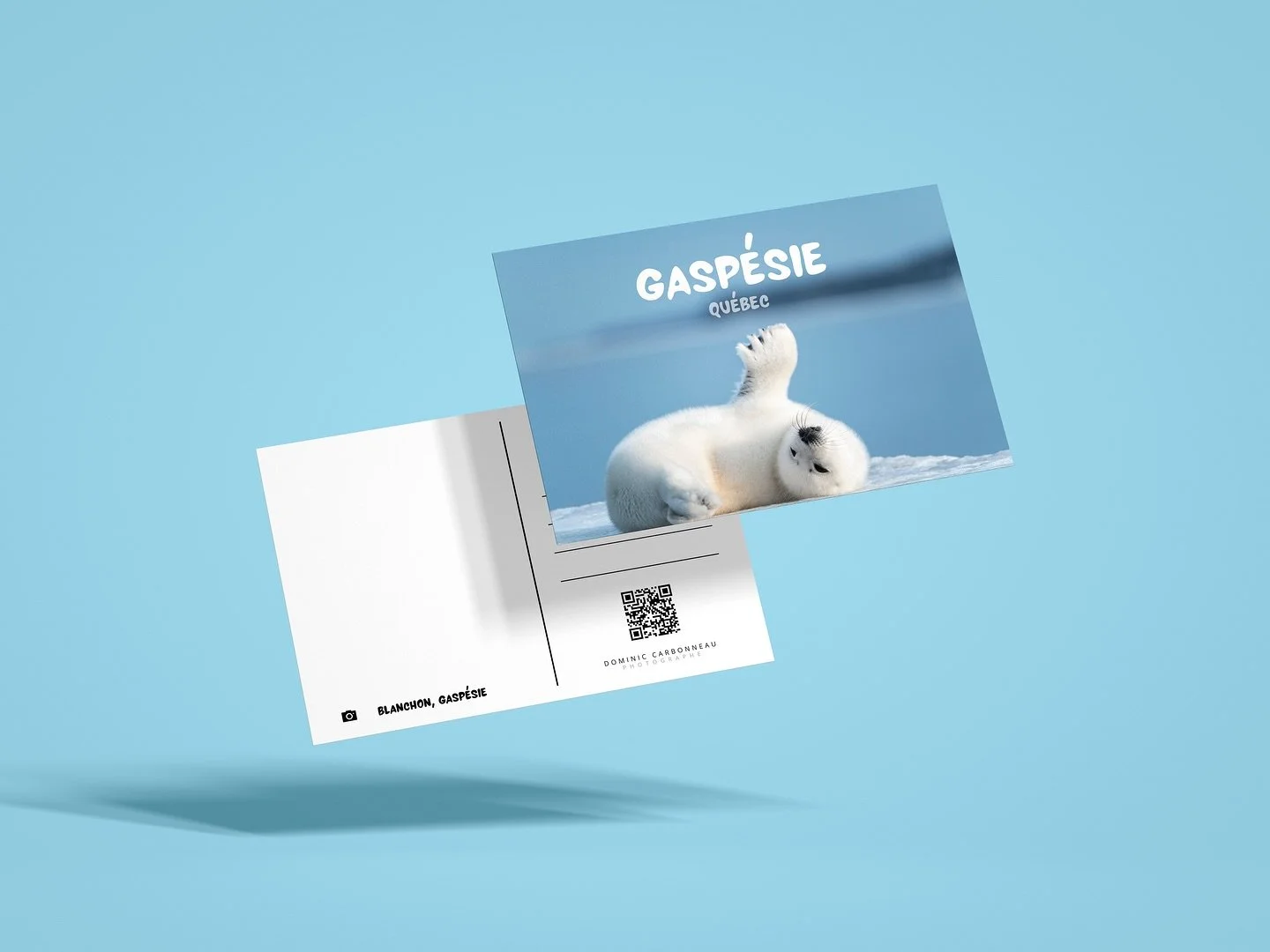 Cartes postales 🌄

Mes cartes postales de la Gasp&eacute;sie sont disponibles d&egrave;s maintenant chez @distilleriedesmarigots ,  @lapetrieboulangerie , @lenaufrageur !