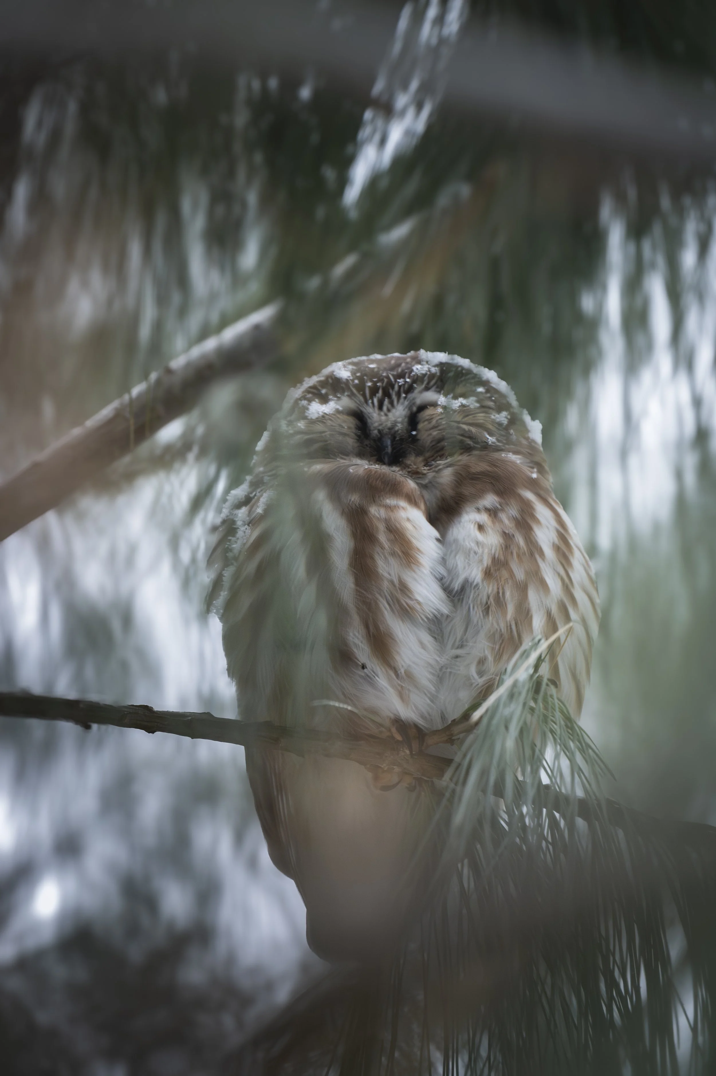 DOM_6755-Avec accentuation-Bruit-2.jpg