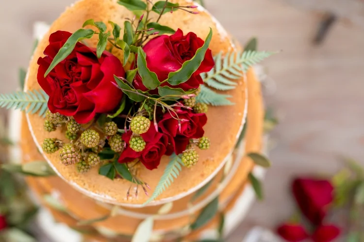 ROQUE styled photo shoot with c.m. elle studios Napa Valley