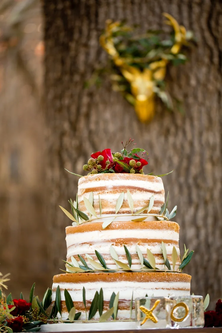 ROQUE styled photo shoot with c.m. elle studios Napa Valley