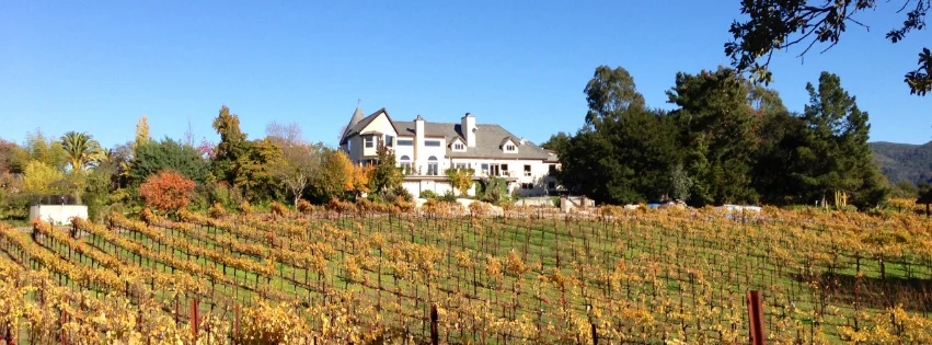 ROQUE_Events_Knoll_Top_Vineyards_5.jpg