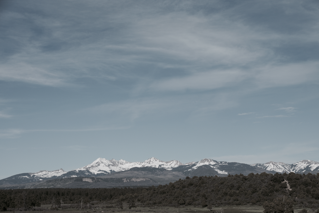 DSC01708 (2).png