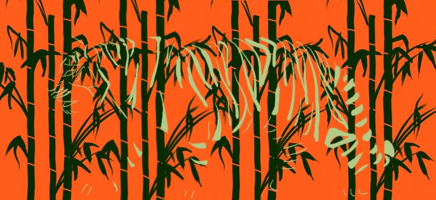 Sketch 3: A hidden tiger in the bamboo forests?