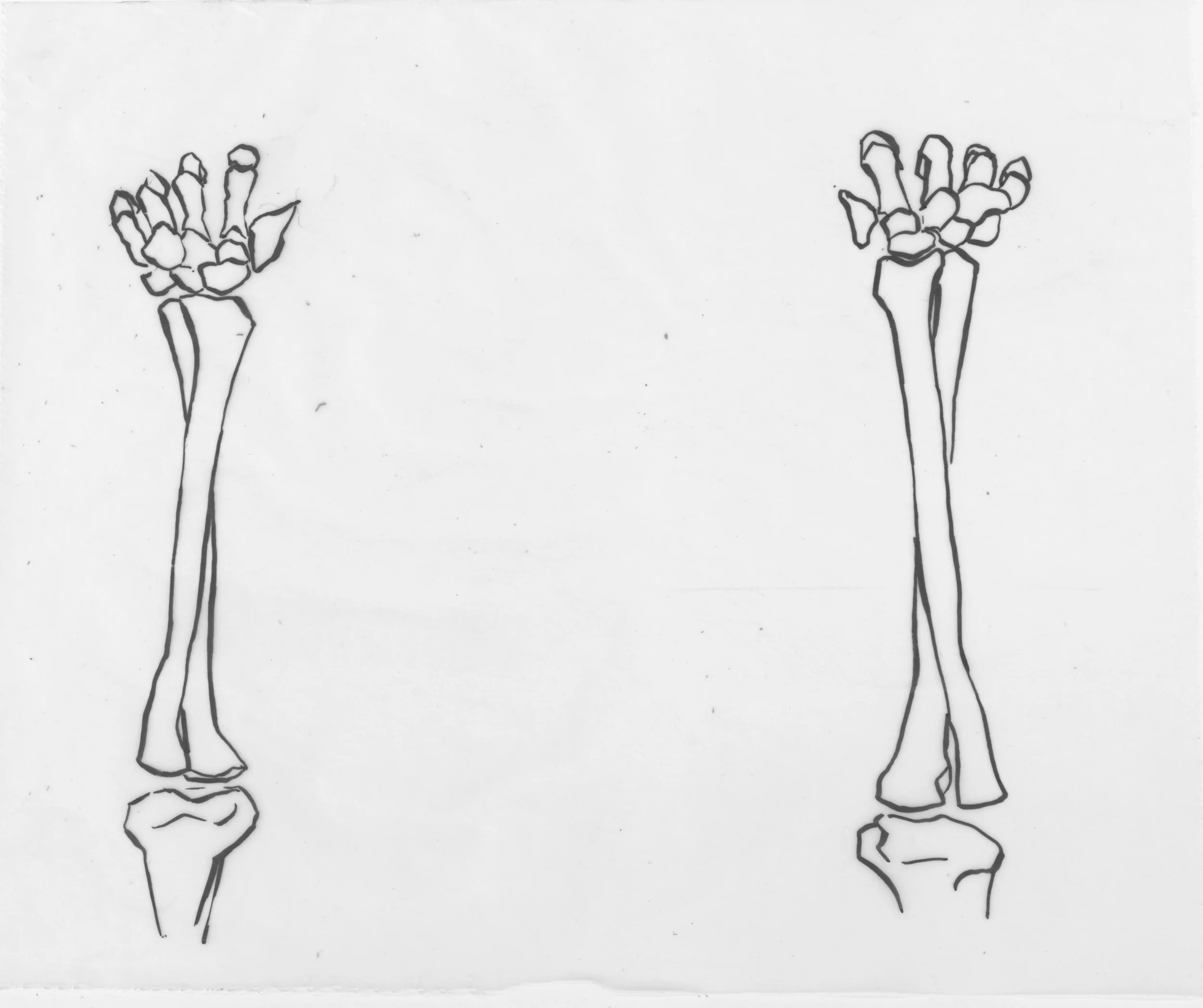 So I used the reference from Skelly, the app I mentioned last time.