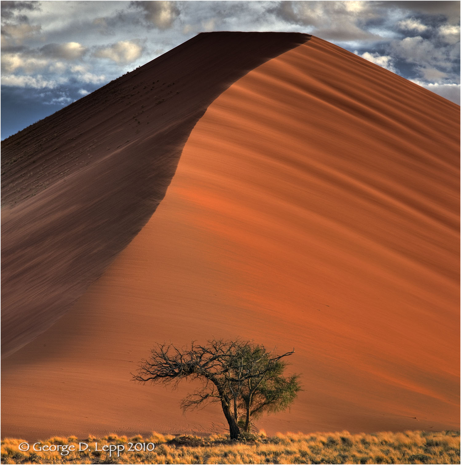 Same sand dune years later, Namibia. © George D. Lepp 2010 LA-AF-NA-0029
