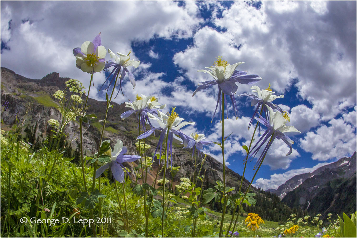 Columbine, Colorado. PW-CO-0011