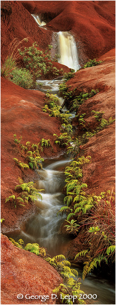 Waterfalls, Kauai, Hawaii. © George D. Lepp 2000 L-HA-KA-0023
