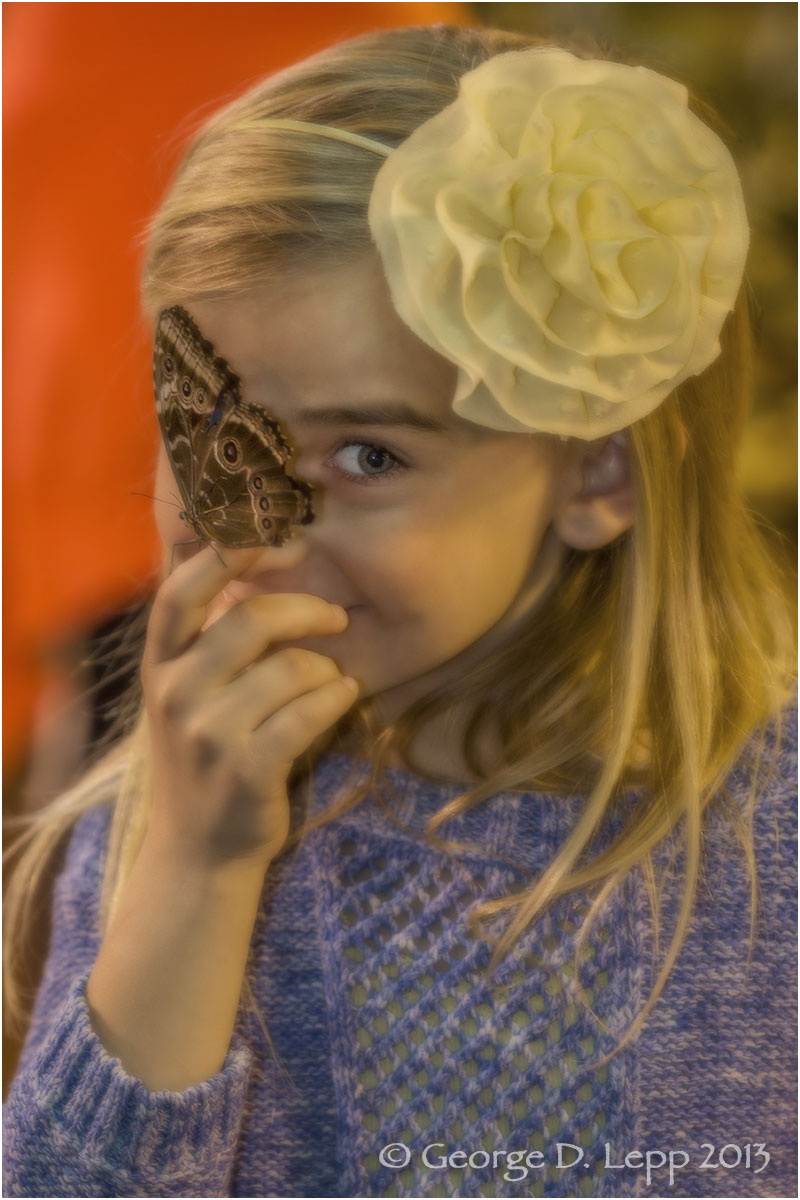 Jolie with butterfly, 2013. UP-RF-JO-0006