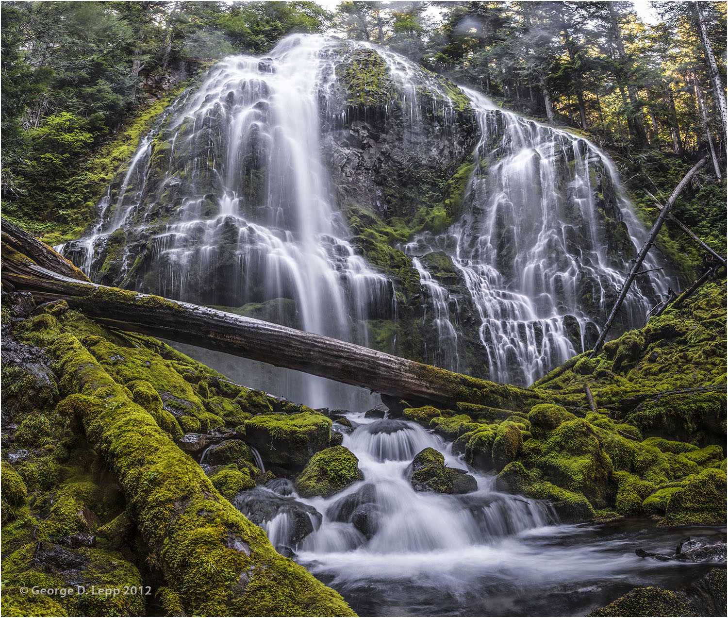 Proxy Falls in the central Cascade mountains. © George D. Lepp 2013 LO-WF-PR-0001