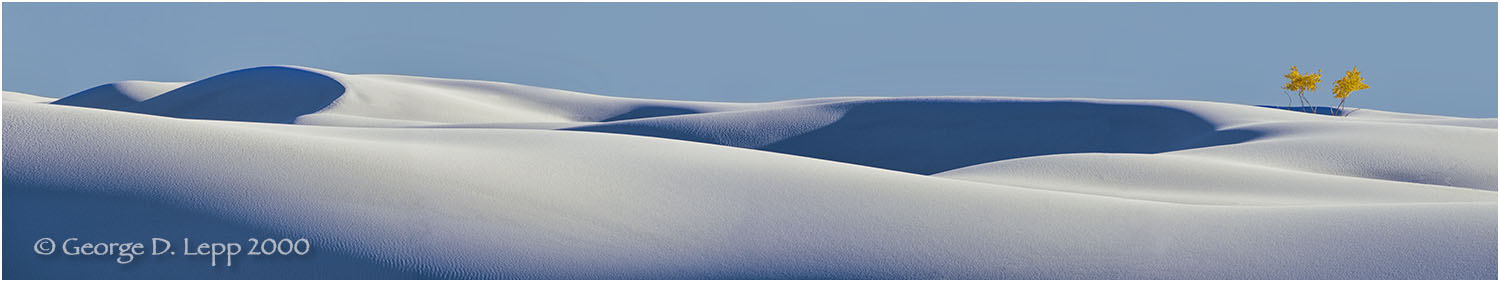 White Sands and yellow cottonwood, New Mexico. © George D. Lepp 2000 L-NM-WH-0005
