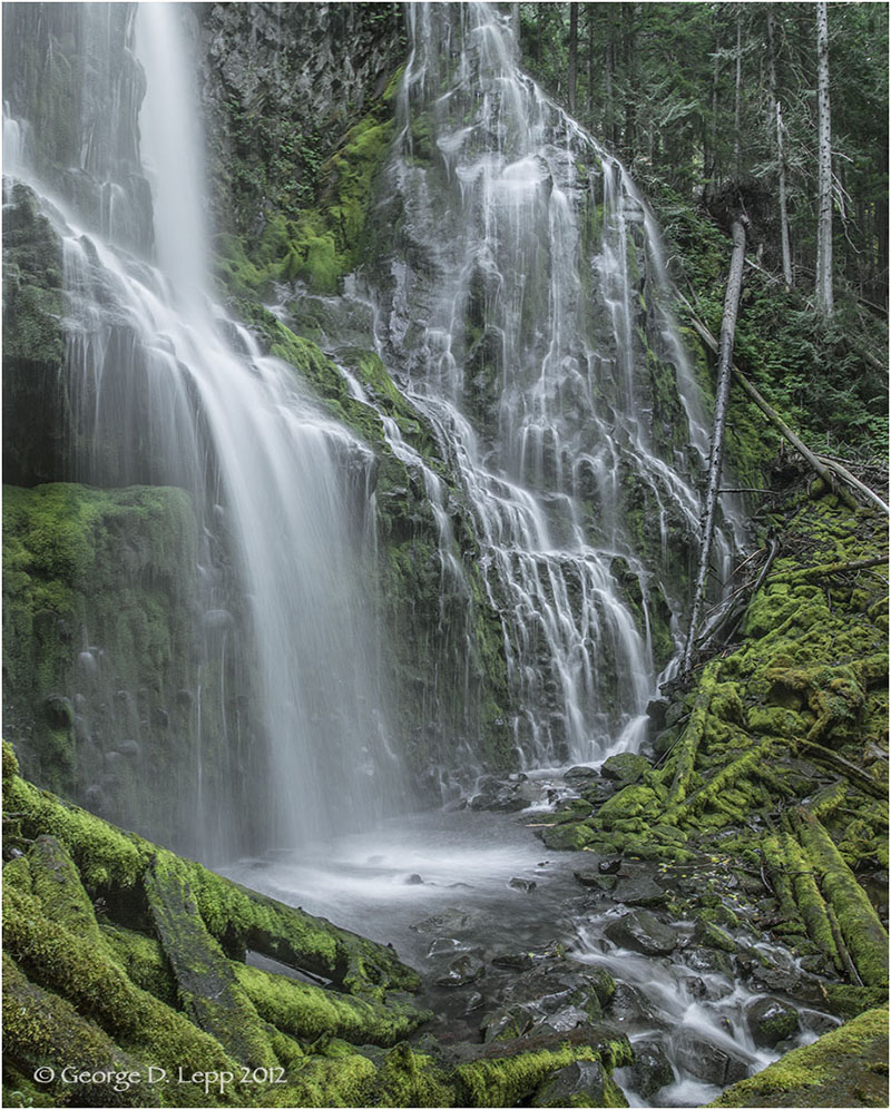 Lower Proxy Falls, Cascades, Oregon © George D. Lepp 2012 LO-WF-PR-0005