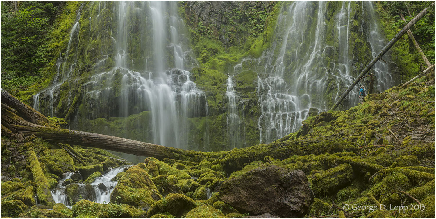 Lower Proxy Falls, Cascades, Oregon. © George D.Lepp 2013 LO-WF-PR-0017
