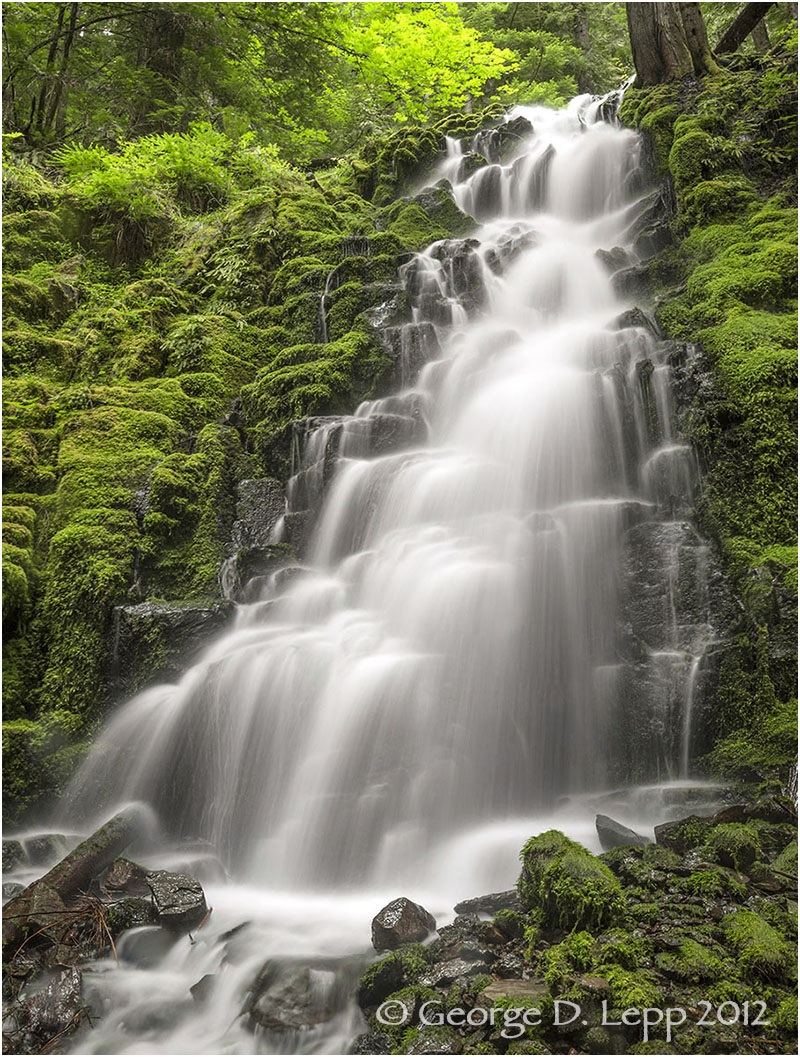 White Branch Falls, Cascades, Oregon. © George D. Lepp 2012 LO-WF-WB-1001