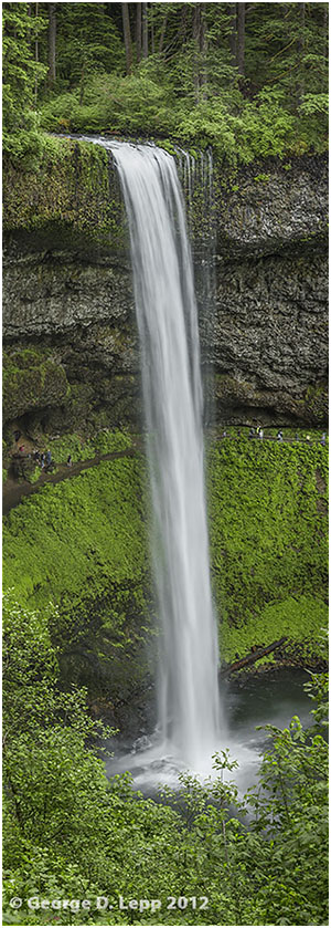 South Silver Falls, Silver Falls State Park, OR. © George D. Lepp 2012 LO-WF-SS-0004