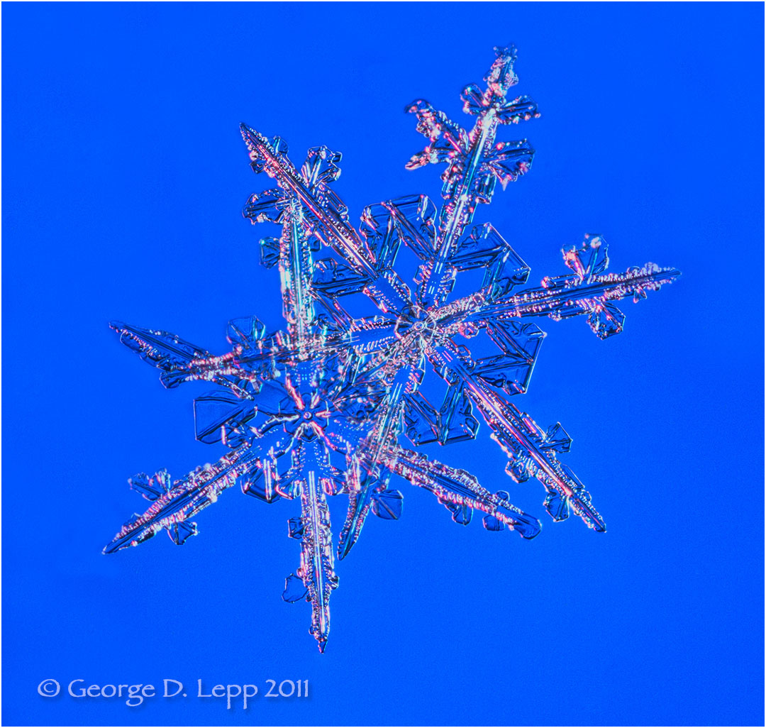 Stacked snowflakes, Colorado. © George D. Lepp 2011 Z-SN-FL-0044