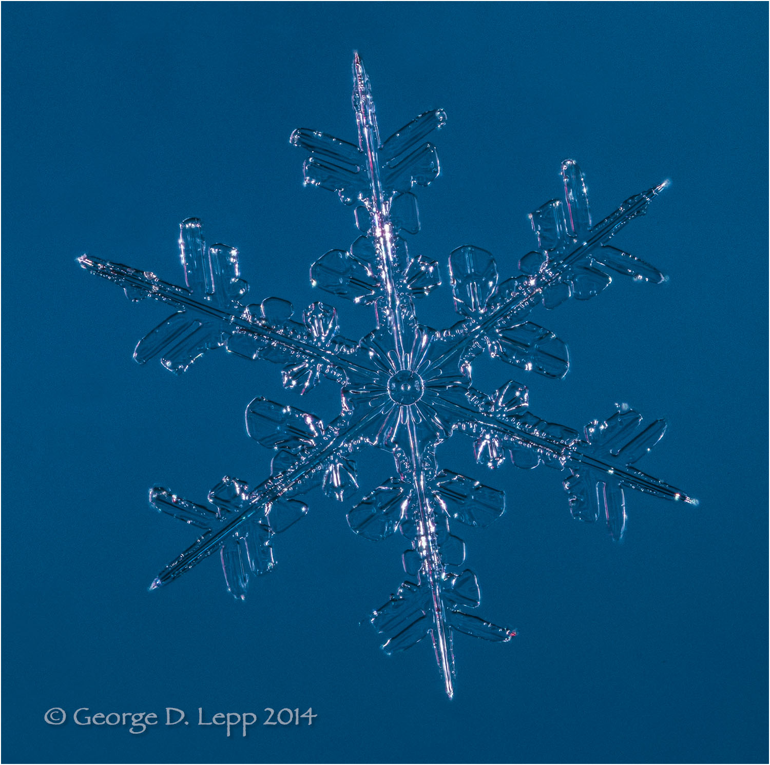 Snow flake, Bend, OR. © George D. Lepp 2014 Z-SN-FL-0059