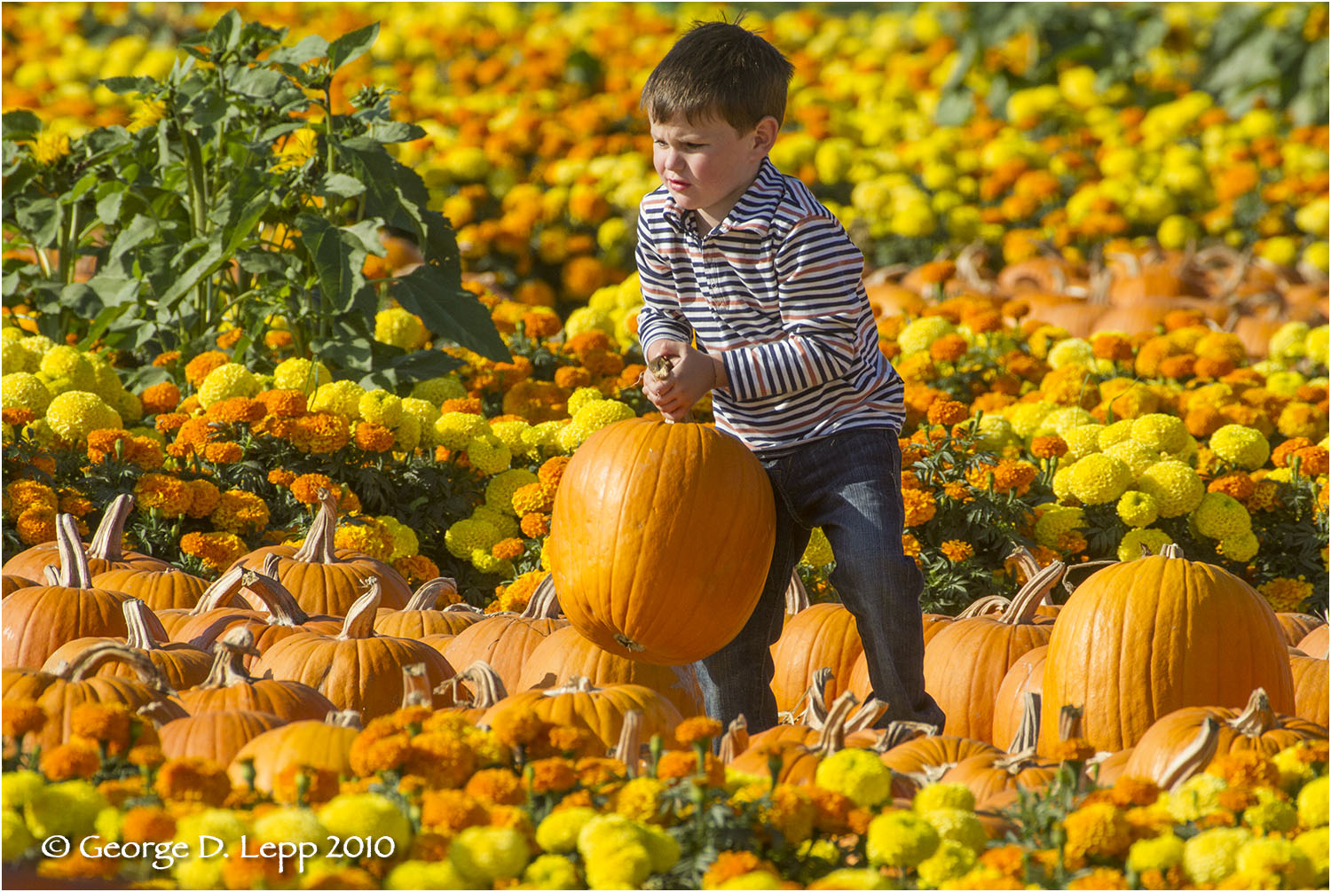 Owen, Oct 2010. © George D. Lepp 2010 UP-FA-VA-0006