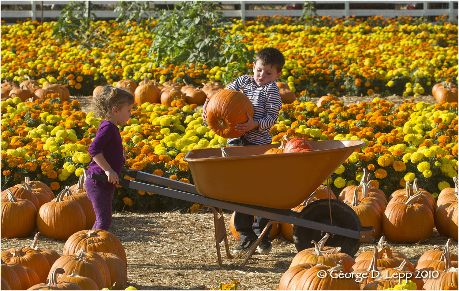 Owen and Bailee, Oct 2010. © George D. Lepp 2010 UP-FA-VA-0014