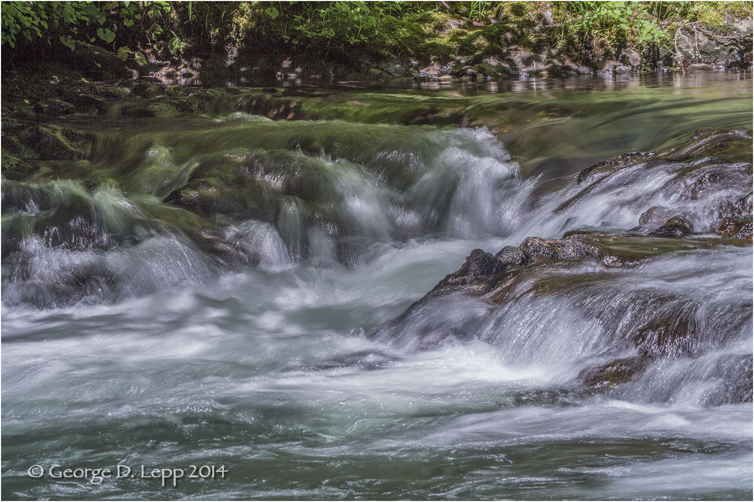 Mackenzie River near Shahalie Falls, OR. © George D. Lepp 2014 LO-WF-GG-0001