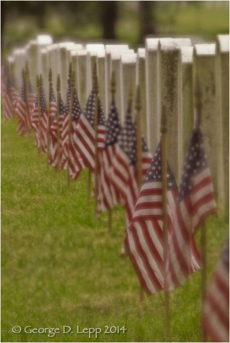 Arlington National Cemetery, D.C. © George D. Lepp 2014 L-DC-0002
