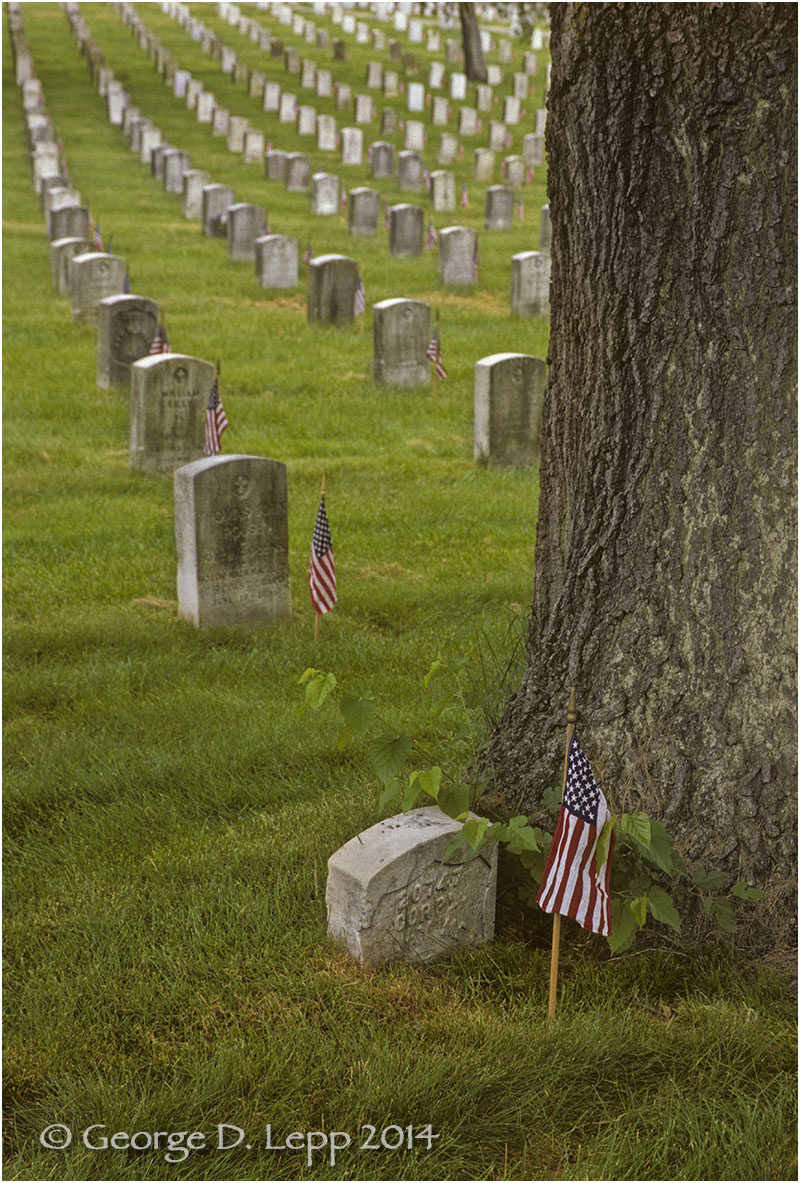 Arlington National Cemetery, D.C. © George D. Lepp 2014 L-DC-0001