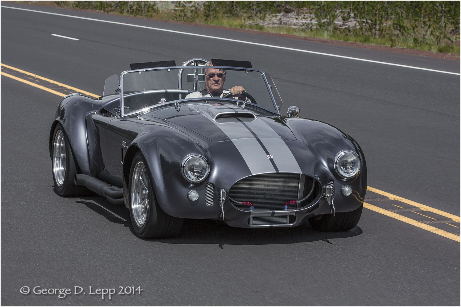 Ford Cobra Replica, © George D. Lepp 2014 T-CA-SP-4002
