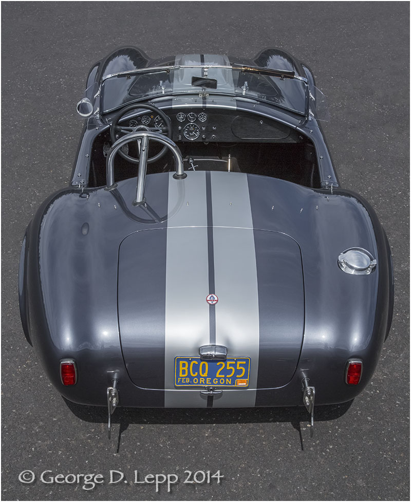 Ford Cobra Replica, © George D. Lepp 2014 T-CA-SP-4007
