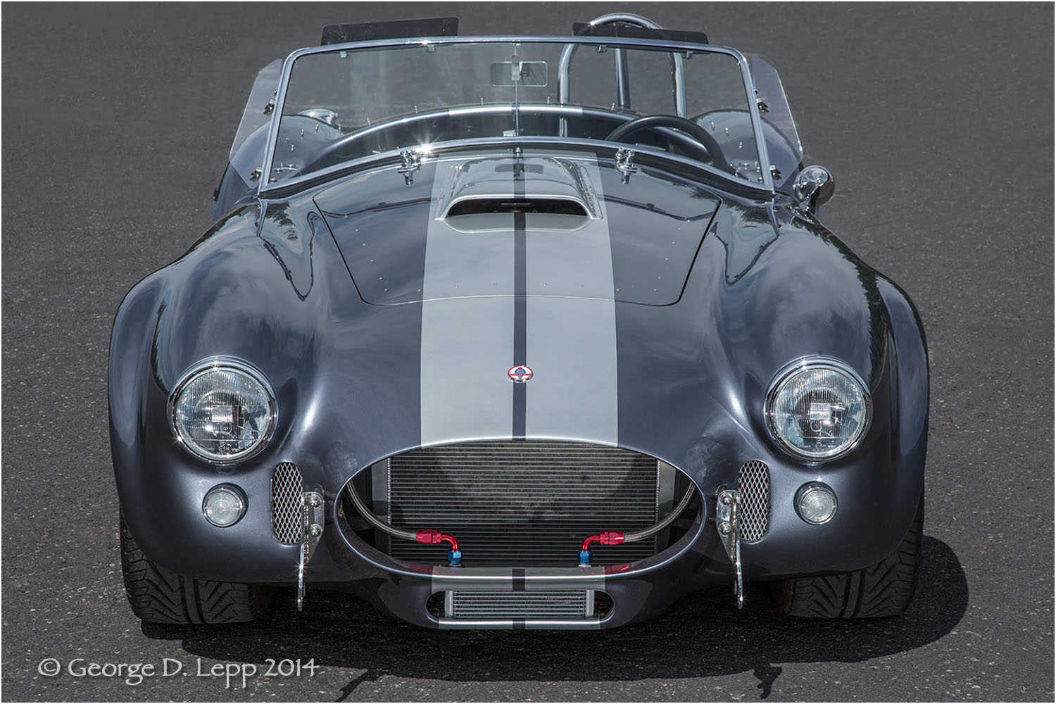 Ford Cobra Replica, © George D. Lepp 2014 T-CA-SP-4005