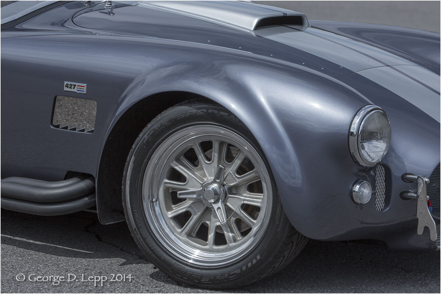 Ford Cobra Replica, © George D. Lepp 2014 T-CA-SP-4004