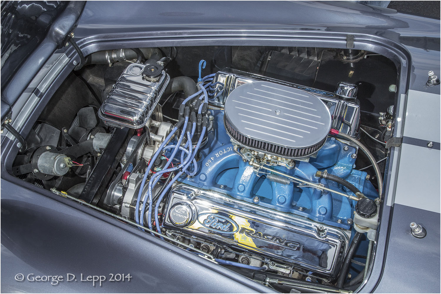 Ford Cobra Replica, © George D. Lepp 2014 T-CA-SP-4009