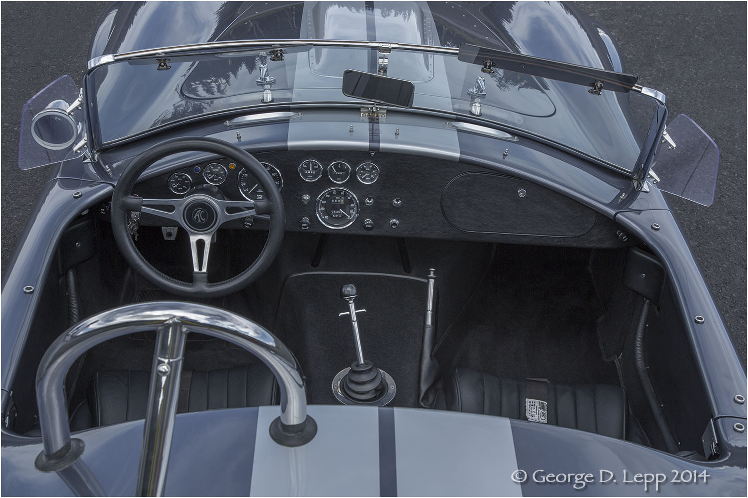 Ford Cobra Replica, © George D. Lepp 2014 T-CA-SP-4008