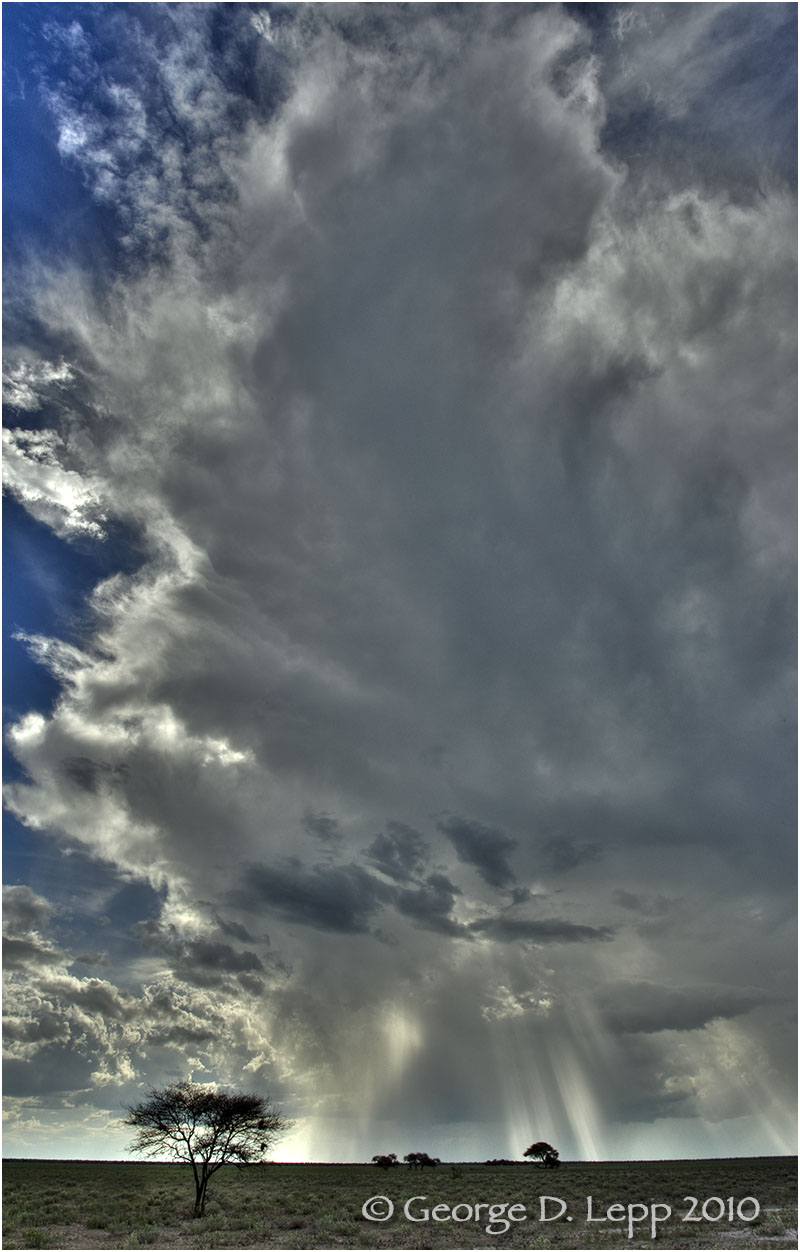 Kalahari Plains, Botswana, Africa. © George D. Lepp 2010 LA-BO-KP-0001