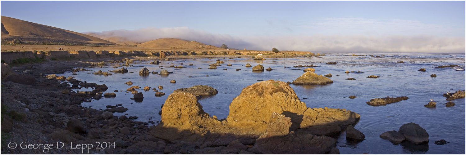 Estero Bay State Park, CA. © George D. Lepp 2014 LC-CC-CB-0004